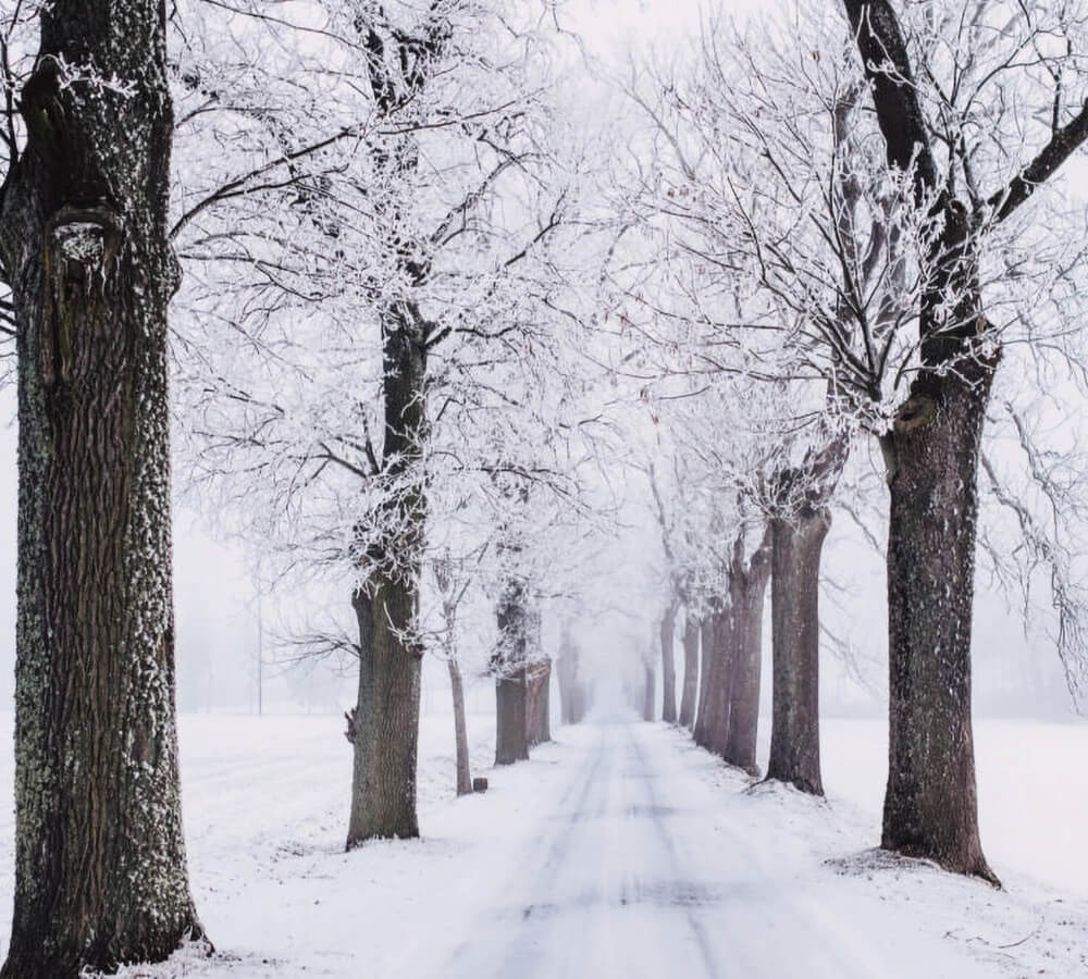 Preparing your entrance door for winter