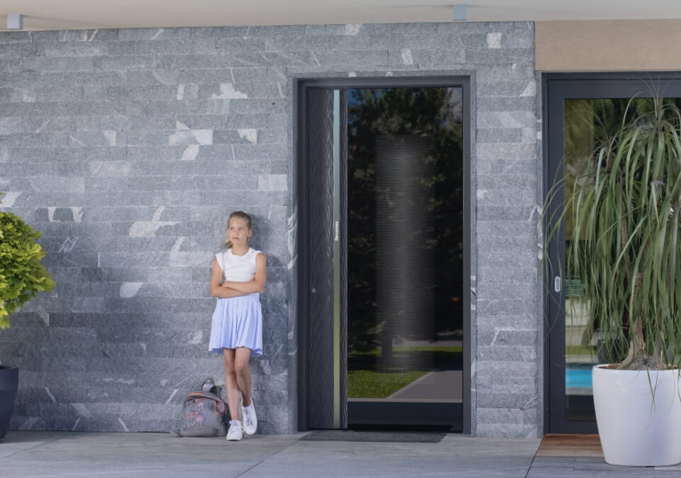 Modern black doors